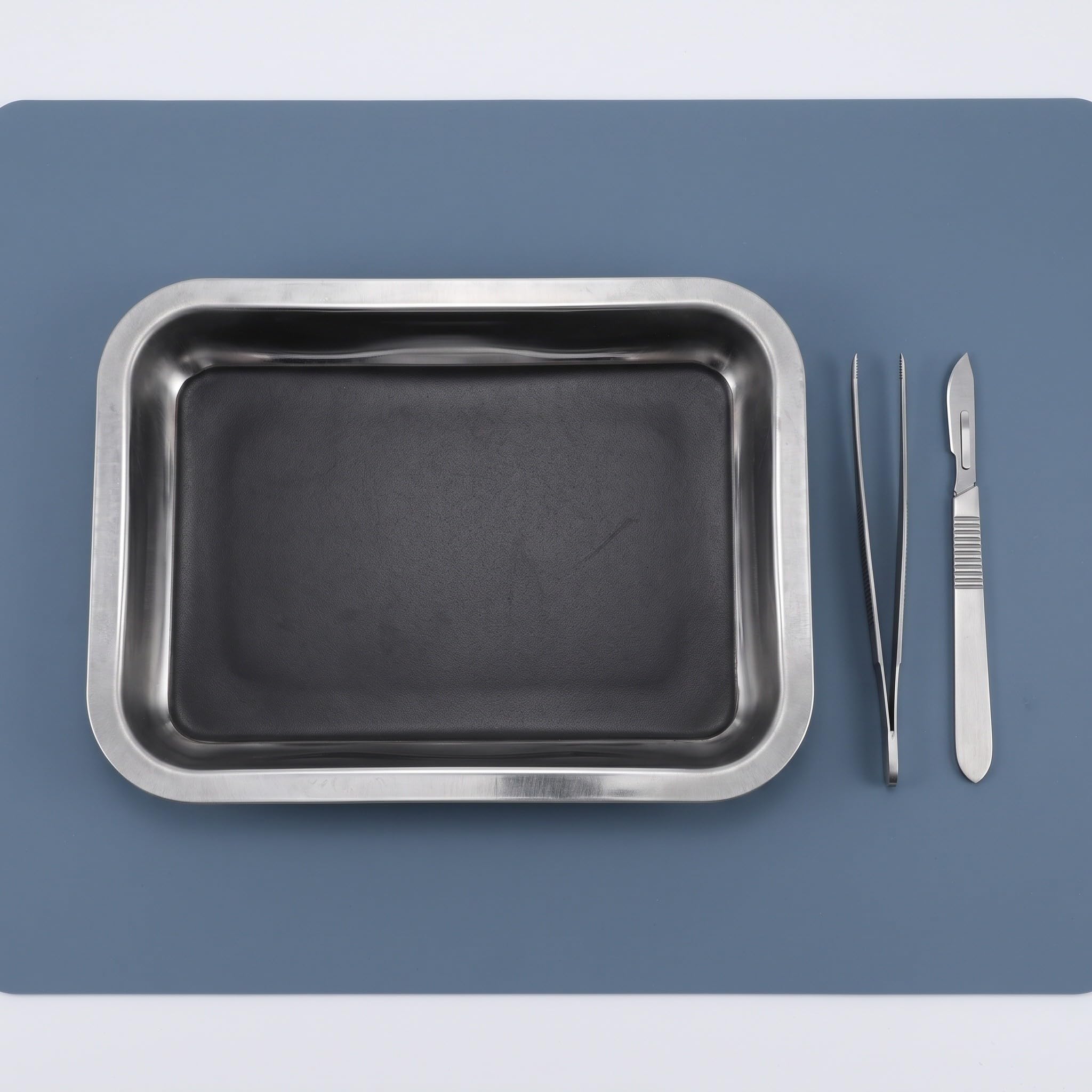 Zerodeko Plateau de Dissection réutilisable en Acier Inoxydable (4 pièces) avec Cire - Idéal pour l'enseignement de la biologie (spécimens, Instruments et Outils) - Matériel pour