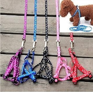1 x Nylon Haustier-Katze-Hund Welpen-Leinen Blei-Gurt-Seil-Hot