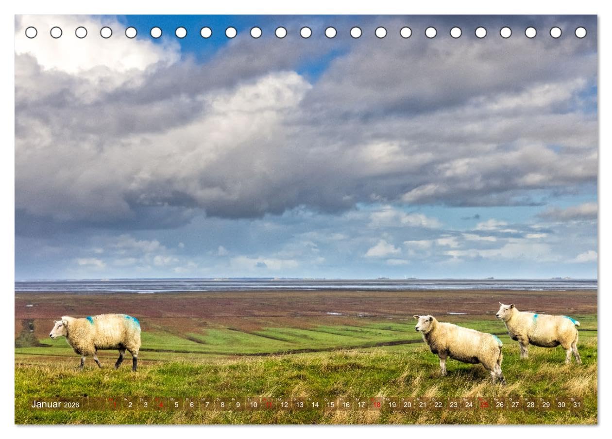 Pellworm - Das Inselparadies (Tischkalender 2026 DIN A5 quer), CALVENDO Monatskalender: Stimmungsvolle Bilder dieser paradiesischen Nordseeinsel bei Tag und Nacht