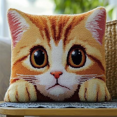 AxiangziK Animales lindos Kit De Cojín Gancho De Pestillo,Un gato de ojos grandes,kit de gancho de pestillo de cojín,de bordado de cojín para niños,43x43cm