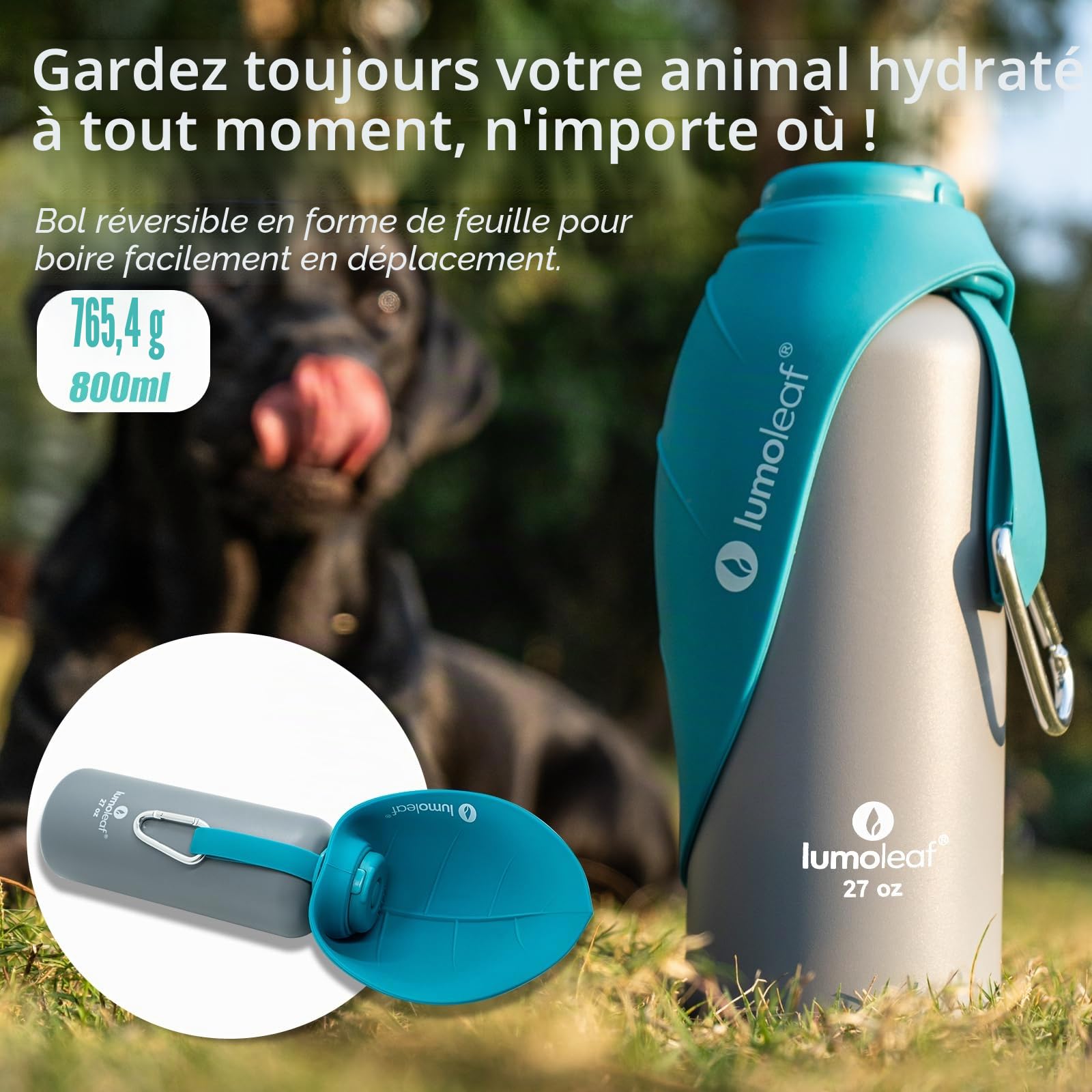 LumoLeaf Gourde Isotherme pour Chien 800 ML en Acier Inoxydable – Garde l’Eau Fraîche ou Tiède, Gamelle de Voyage Intégrée, Étanche, Ouverture pour Ajouter Glaçons Nettoyer Facilement (Bleu, 800 ML)