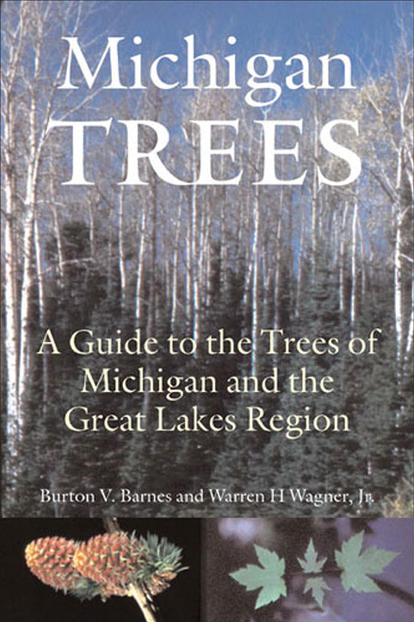Michigan Trees, Revised and Updated: A Guide to the Trees of the Great Lakes Region Paperback β January 28, 2004