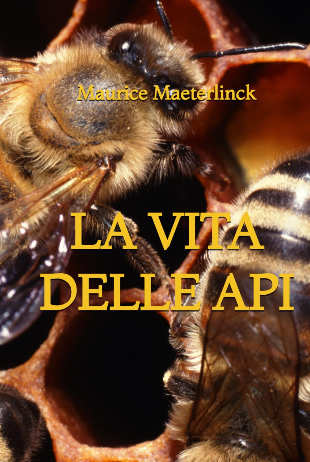La Vita delle Api