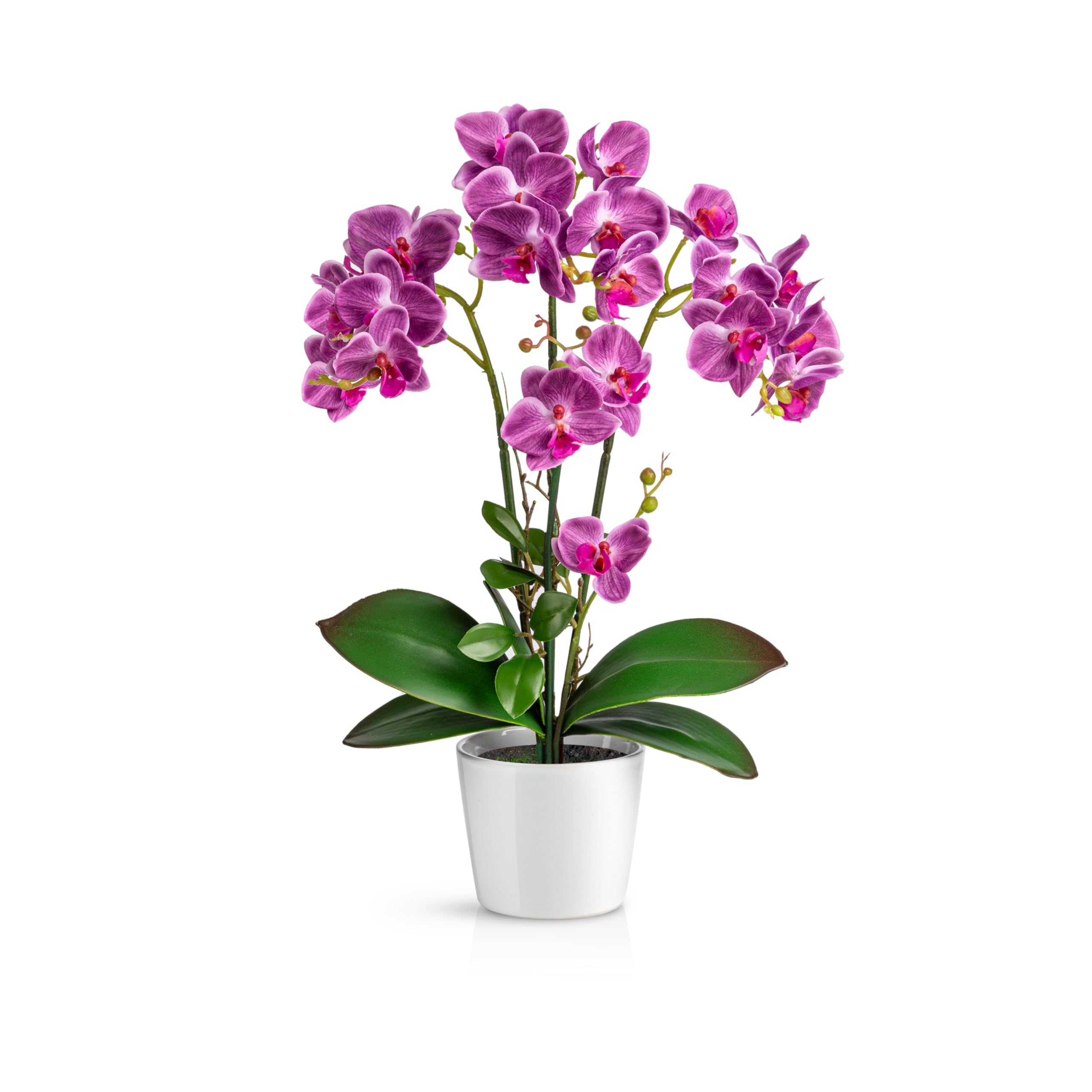 PASCH® Orchideen Künstlich in Hochglanz-Keramiktöpfen (46cm) | Kunstblumen Wie Echt | Künstliche Orchideen im Topf (Lila)