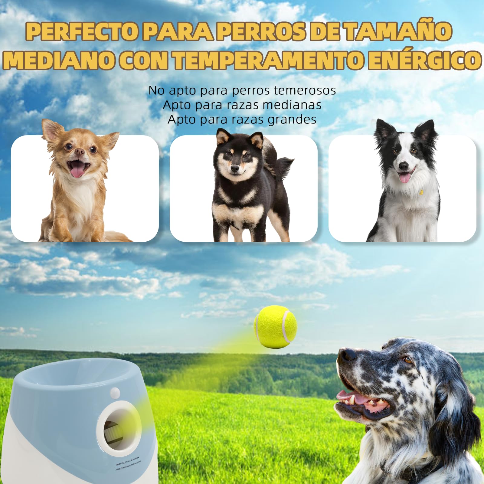 Máquina para lanzar pelotas para perros con 6 pelotas de tenis, juguete eléctrico interactivo para perros pequeños, para interior y exterior