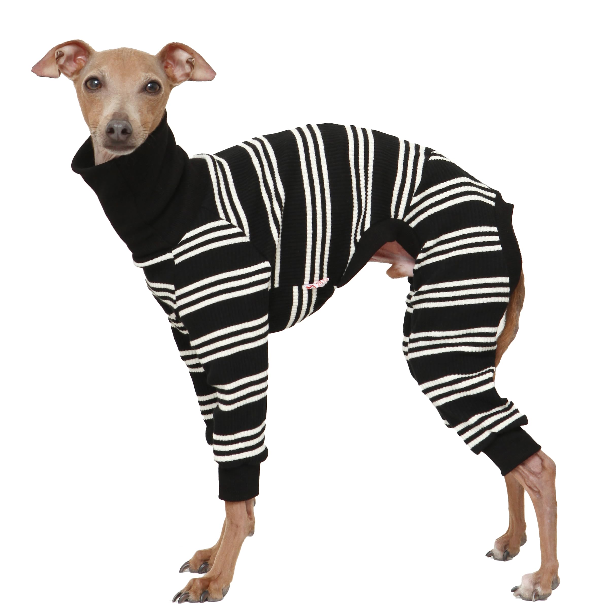 D Doggy Star Italian Greyhound Clothes Soft Stretchy Onesie Refined Stripe Outfit Whippet for Dog Coat (M,Onsi Ivory Str) — image 1