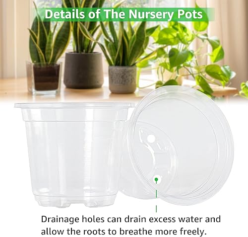 Miniatura 3 de Bonviee 36 paquetes de macetas transparentes de 3.545 pulgadas, maceta de plástico transparente con agujeros de drenaje, maceta de inicio de