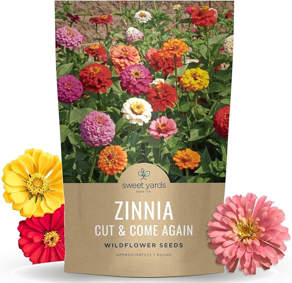 Zinnia Cut & Come Again Seed