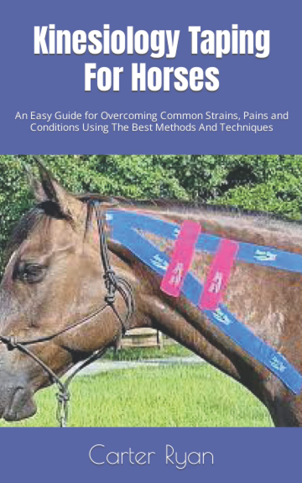 Kinesiology Taping For Horses: An Easy Guide for Overcoming Common Strains, Pains and Conditions Using The Best Methods And Techniques