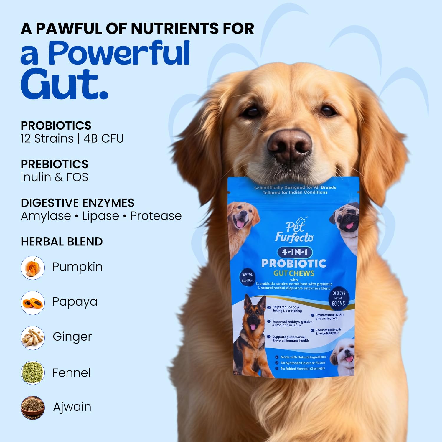 4-in-1 Probiotic Gut Health Chews for Dogs | 60 Chews + Free QR Dog Tag — Amazon image 5