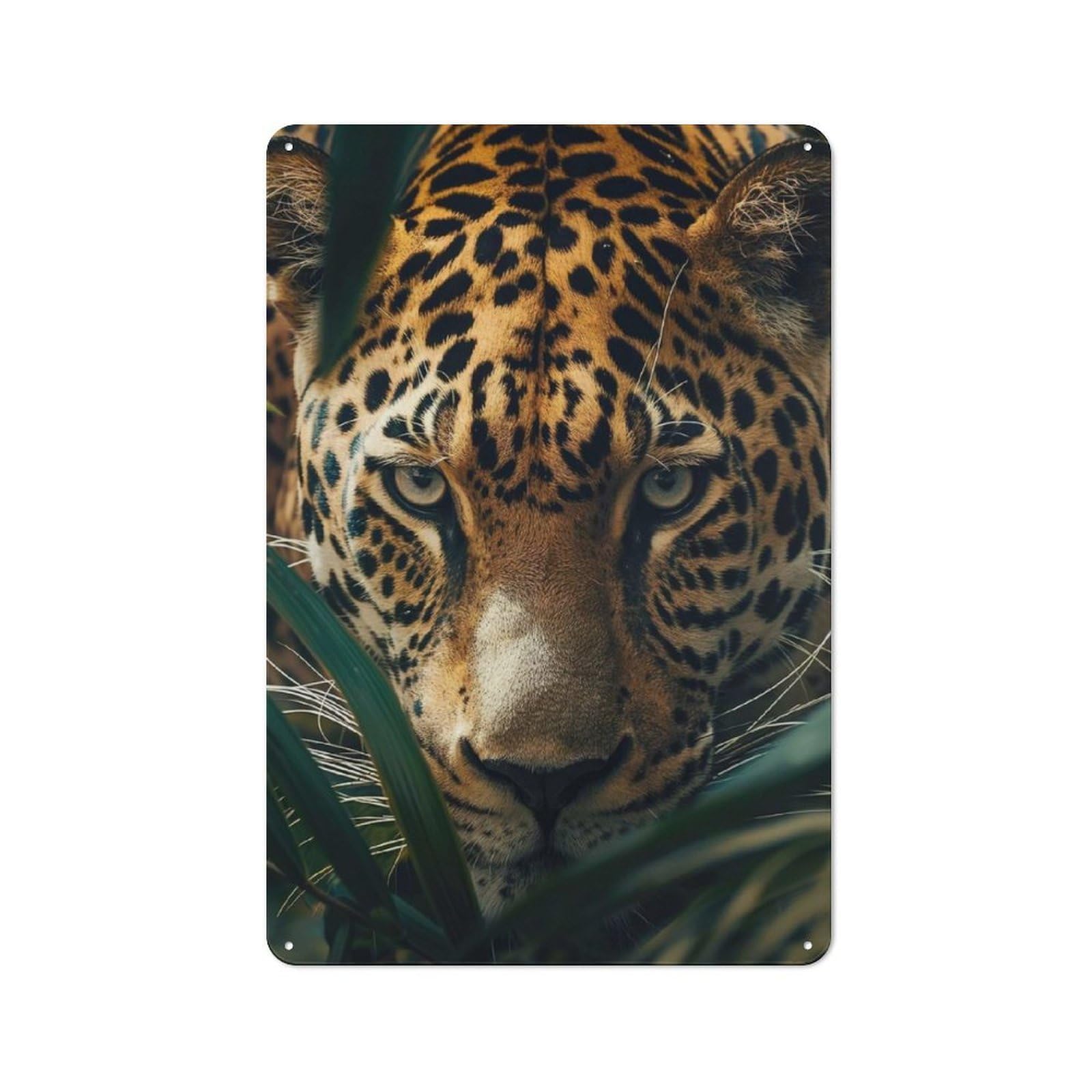 Tin Wall Plaque 30x20cm with Jaguar In The Jungle for Hallway Wall, with Clear Retro Wall Decor Character