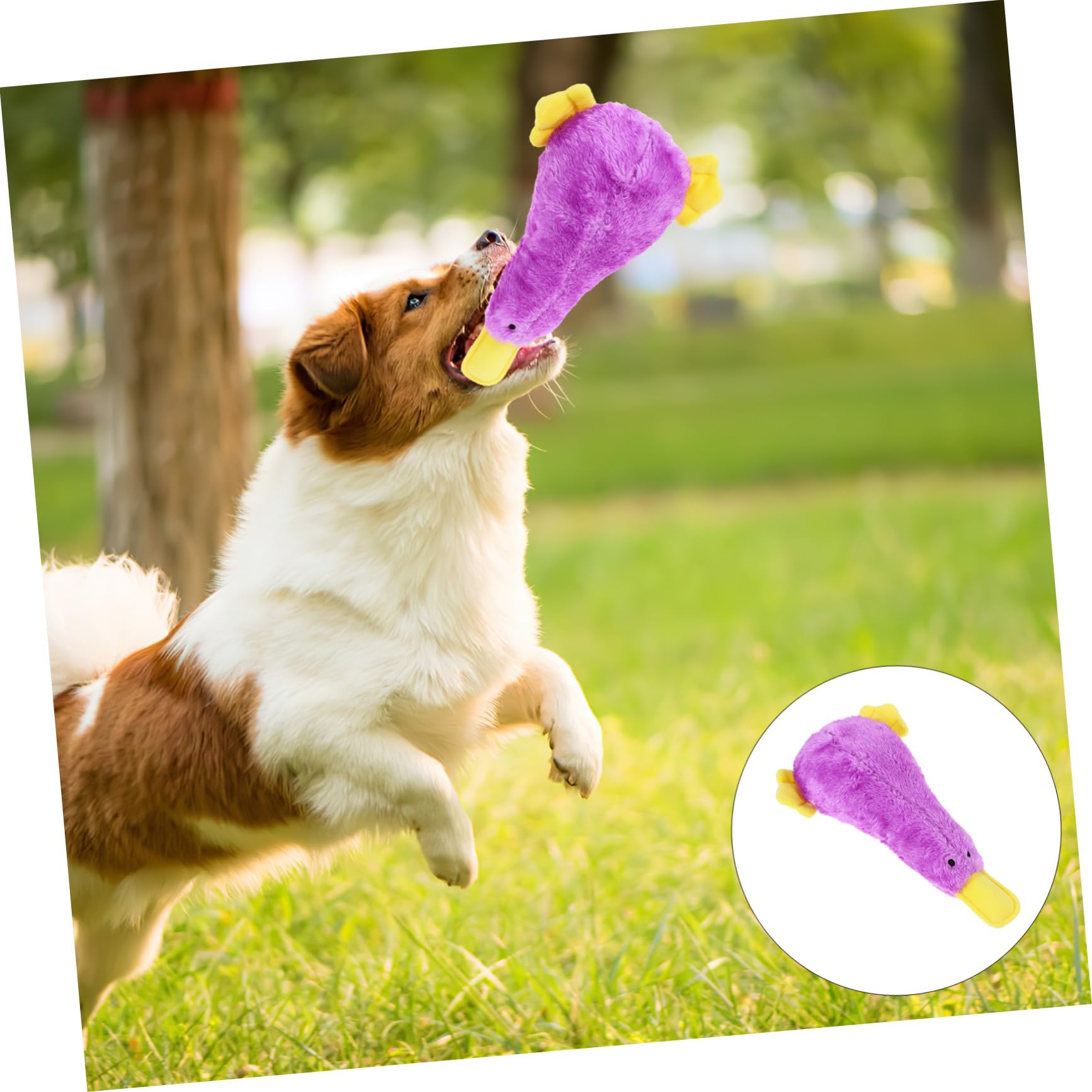 ORFOFE Jouet à Mâcher pour Chien Qui Couine Jouet Peluche pour Chien pour Chiot pour Animal de Compagnie