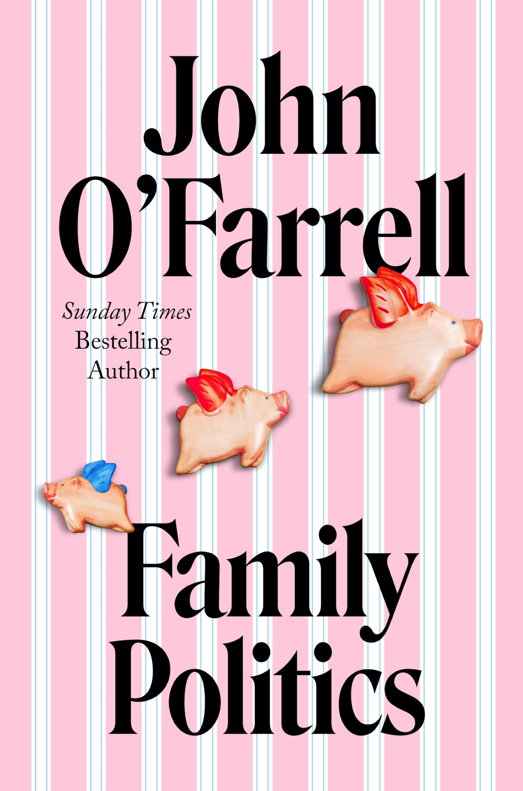 Family Politics: A razor sharp satire from the bestselling author of May Contain Nuts