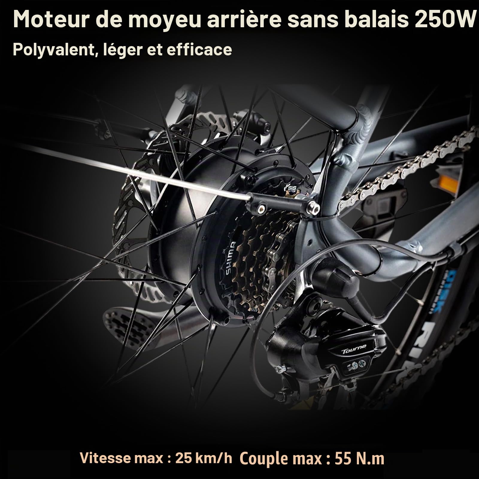 Vélo électrique pour Adultes 250W Vélo de Ville électrique Moteur arrière Femmes Hommes Vélo de Randonnée 100 km d'autonomie grâce à Une Batterie Li-ION 43,2 V 561,6 Wh 7 Vitesses