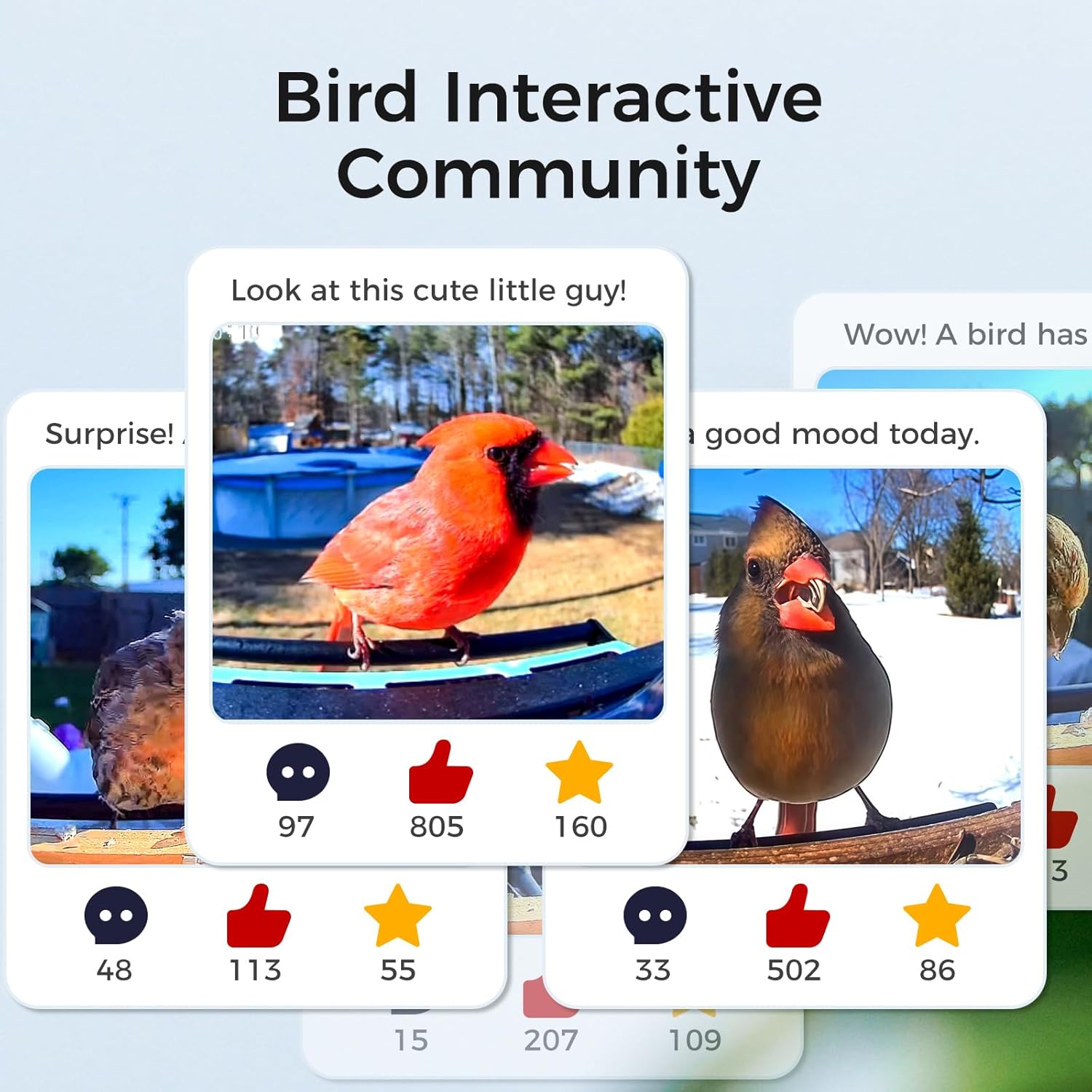TT Nature HDPE Smart Bird Feeder with Camera, Solar Powered, AI Identifies 10,000+ Birds Species, Auto Capture 2K Videos & Instant Alerts, Ideal Gift for Family and Lover - Image 6
