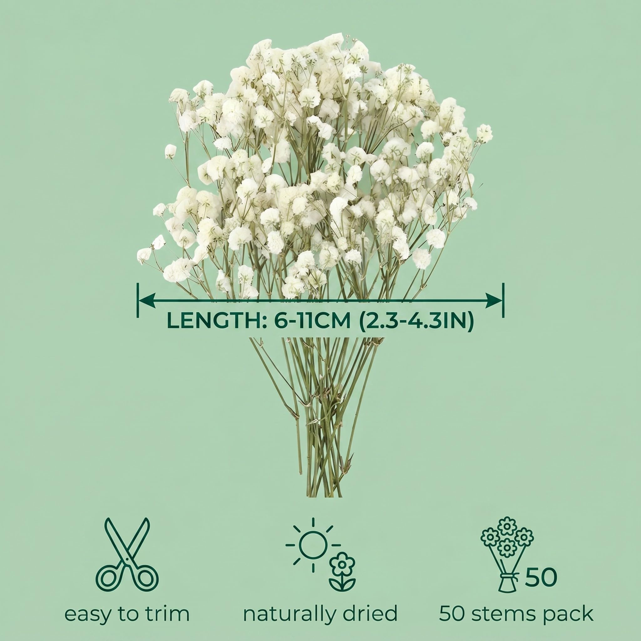 Gypsophila Essiccata Bianchi, Fiori Secchi 50 szt. do Dekoracji DIY