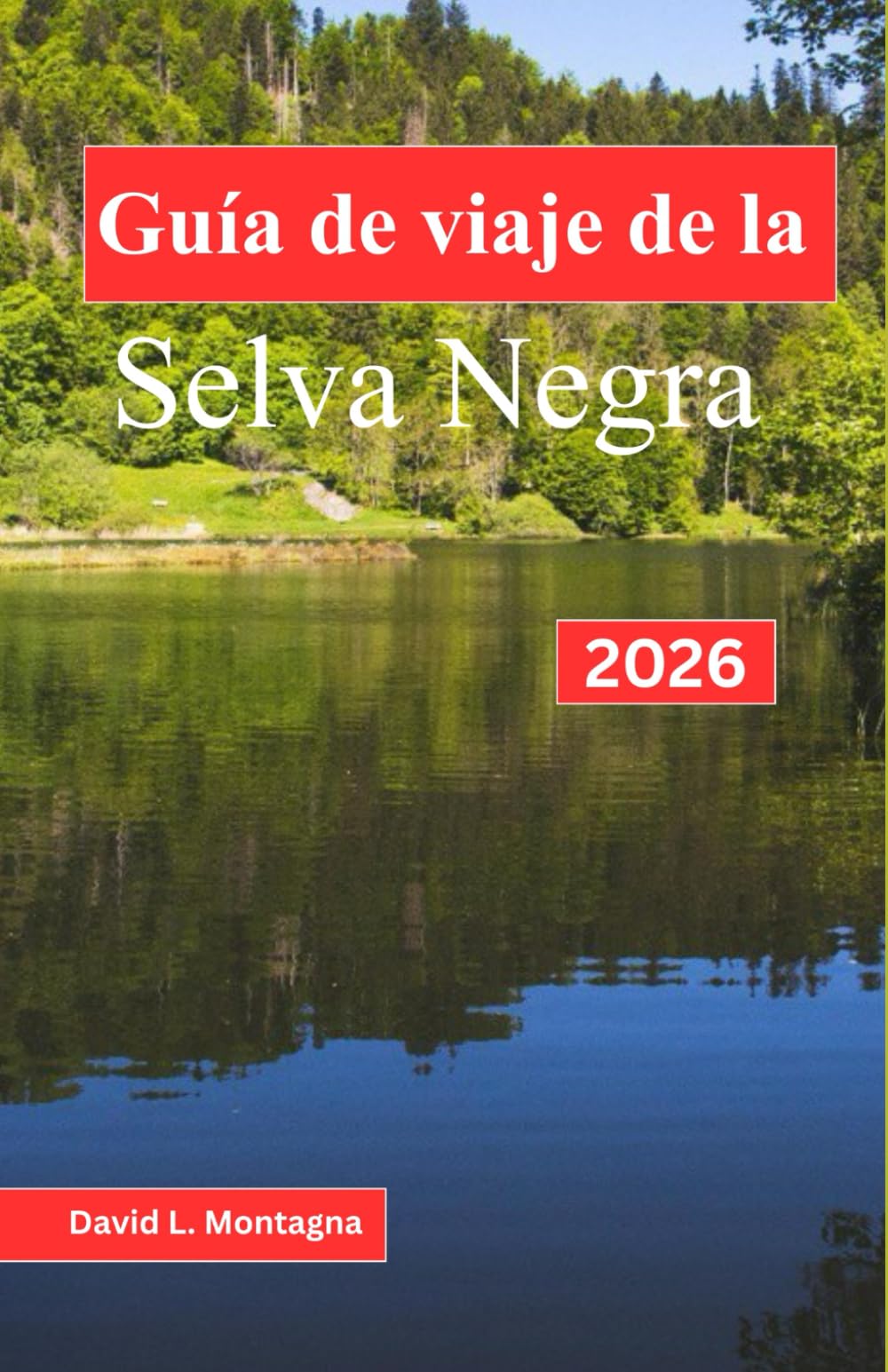 Guía de viaje de la Selva Negra 2026: Una forma sencilla de explorar lagos, balnearios, gastronomía local y días tranquilos sin planificar demasiado