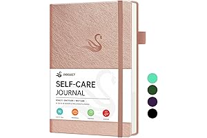 Day by Day Guided Journal Jess Conte