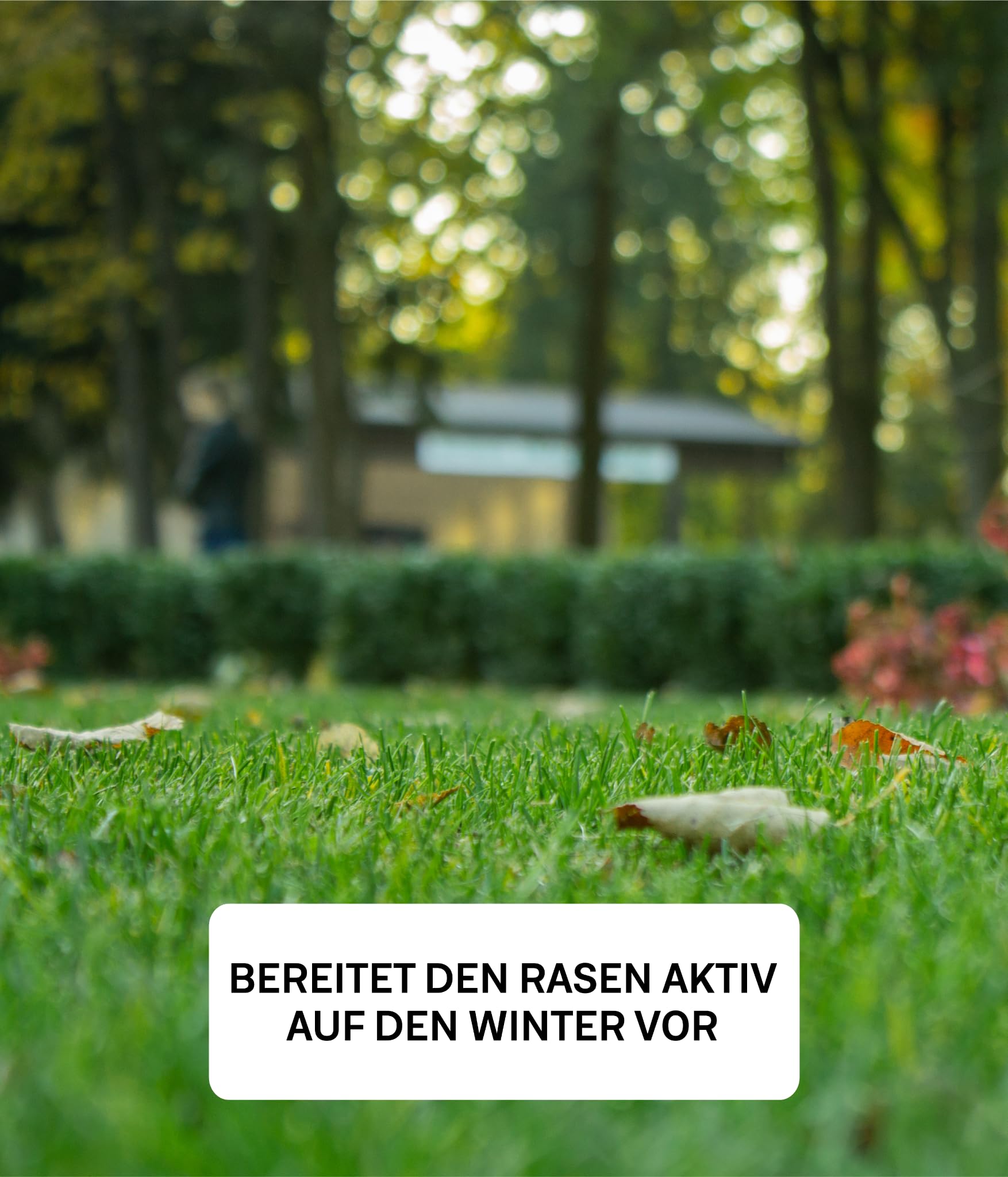 organtic Herbstrasendünger 20kg - Rasendünger mit Kalium für Herbst & Winter - Unterstützt sattgrünen Rasen, Moosverdrängung & starke Rasengräser - Für organische Rasenpflege im Garten
