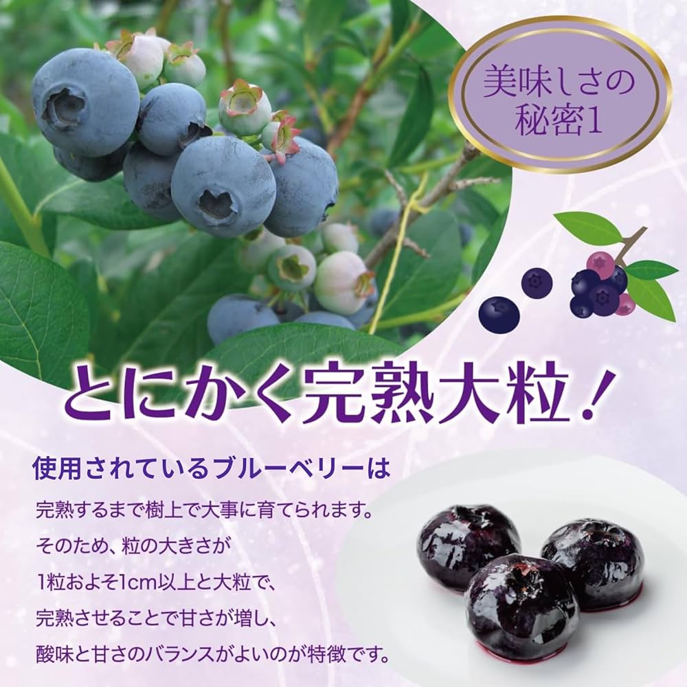 完熟冷凍ブルーベリー【小粒〜大粒】５㌔ 完熟冷凍ブルーベリー【小粒〜大粒】5㌔