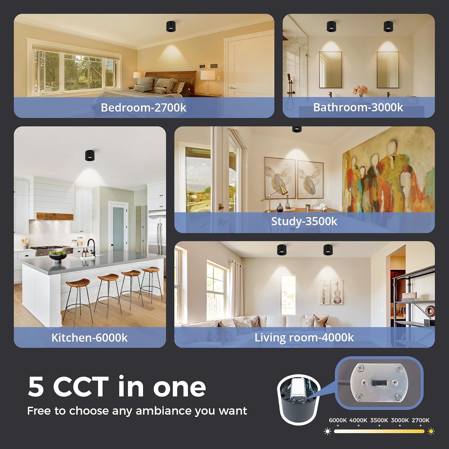 12W 4.72 inches LED 5CCT Selectable Dimmable Ceiling Spotlight CRI95+ Aluminum Cylinder Spotlight Indoor Modern Minimalist Focus Ceiling Down Light Fixture for Living Room Hallway Foyer