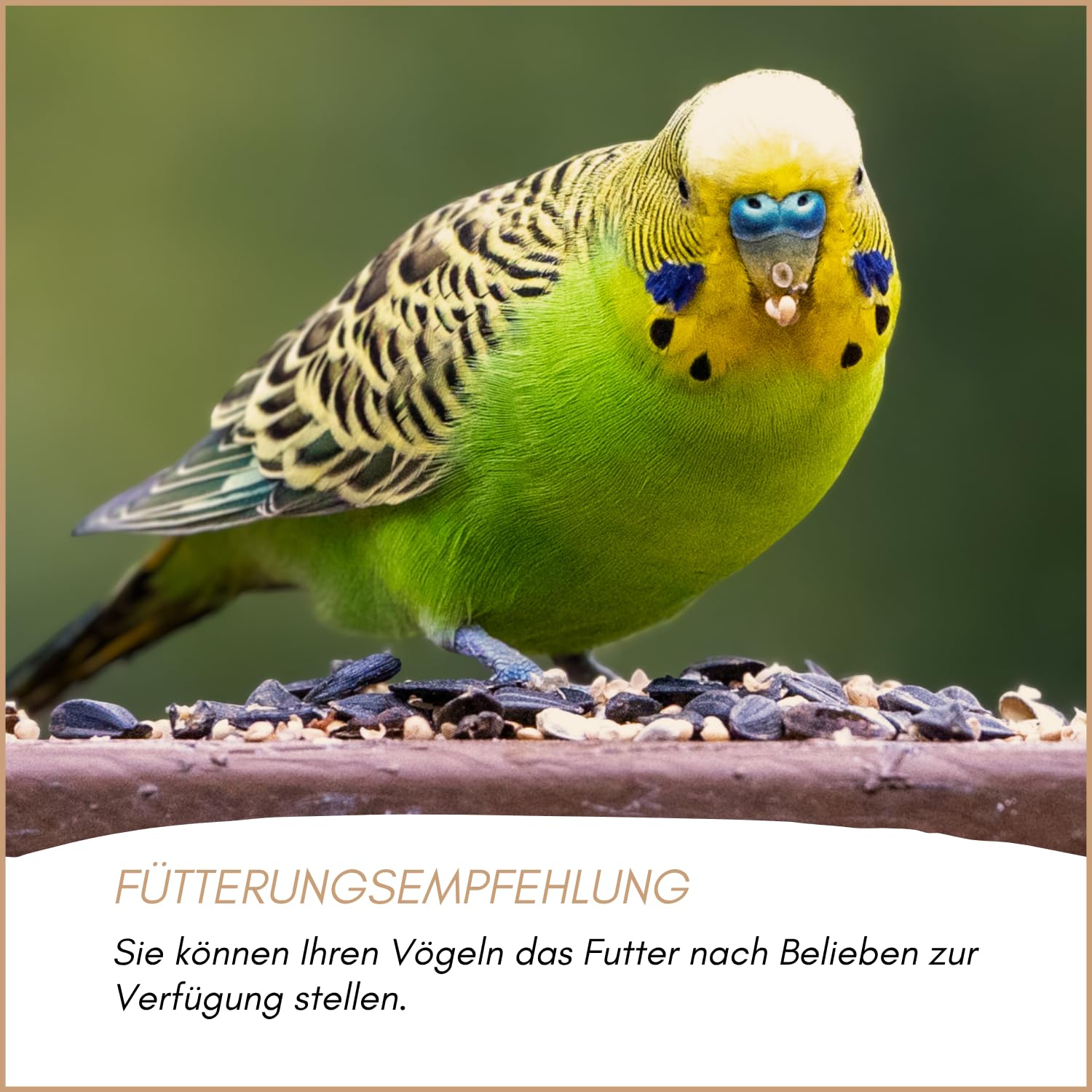 Supravit Wellensittichfutter Zucht 25 kg – hochwertige Zuchtmischung | als Hauptfutter für Wellensittiche & kleine Sitticharten – Jungvogelfutter & Mauserfutter zur Förderung der Zucht