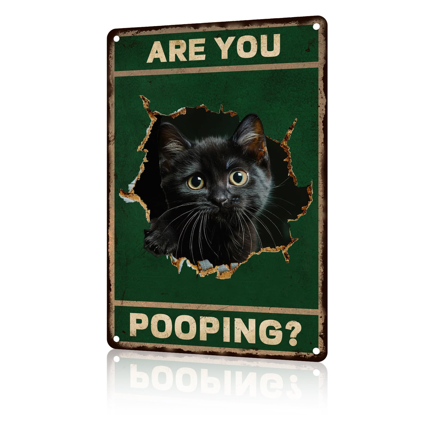 Retro Signs Funny Black Cat Are You Pooping Vintage Signs Retro Aluminum Tin Sign For Kitchen Home Office Bar Cafe 8X12 Inch
