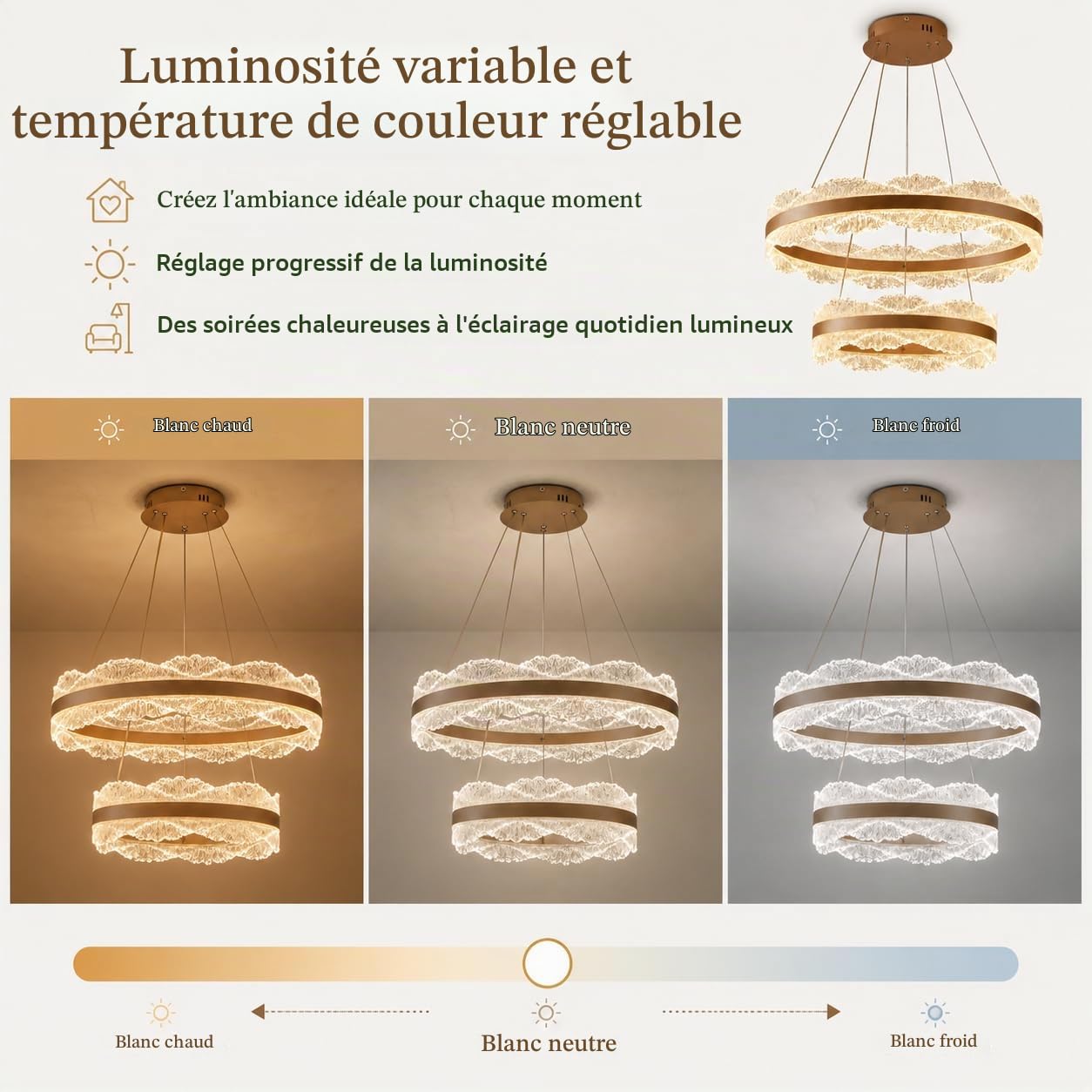 Lustre LED 2 Anneaux Acrylique, Suspension Salon avec Télécommande