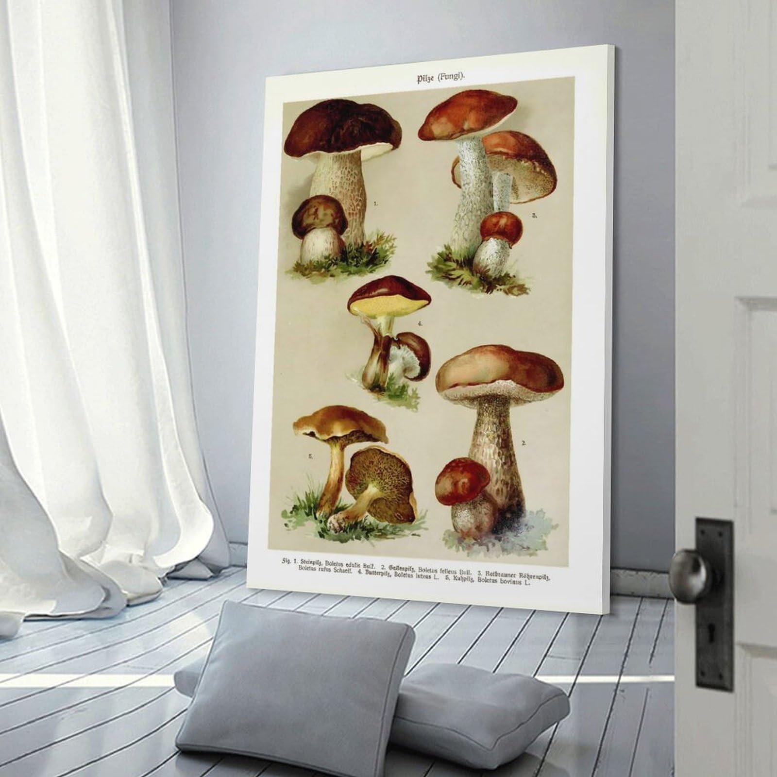Junmoney Wall Picture Print Classic Mushroom Fungi, 20x30inch(50x75cm), for Workspace Walls, Study Corners Or Bedrooms, A Smart Decor Choice for Study Walls