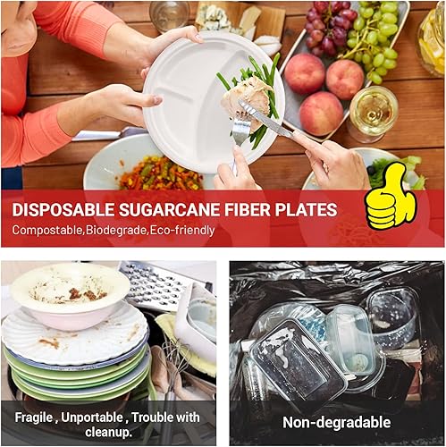 Miniatura 5 de Paquete de 125 platos de papel con compartimentos de 9 pulgadas, 100% compostables, desechables, con divisores para fiestas y cenas, hechos de