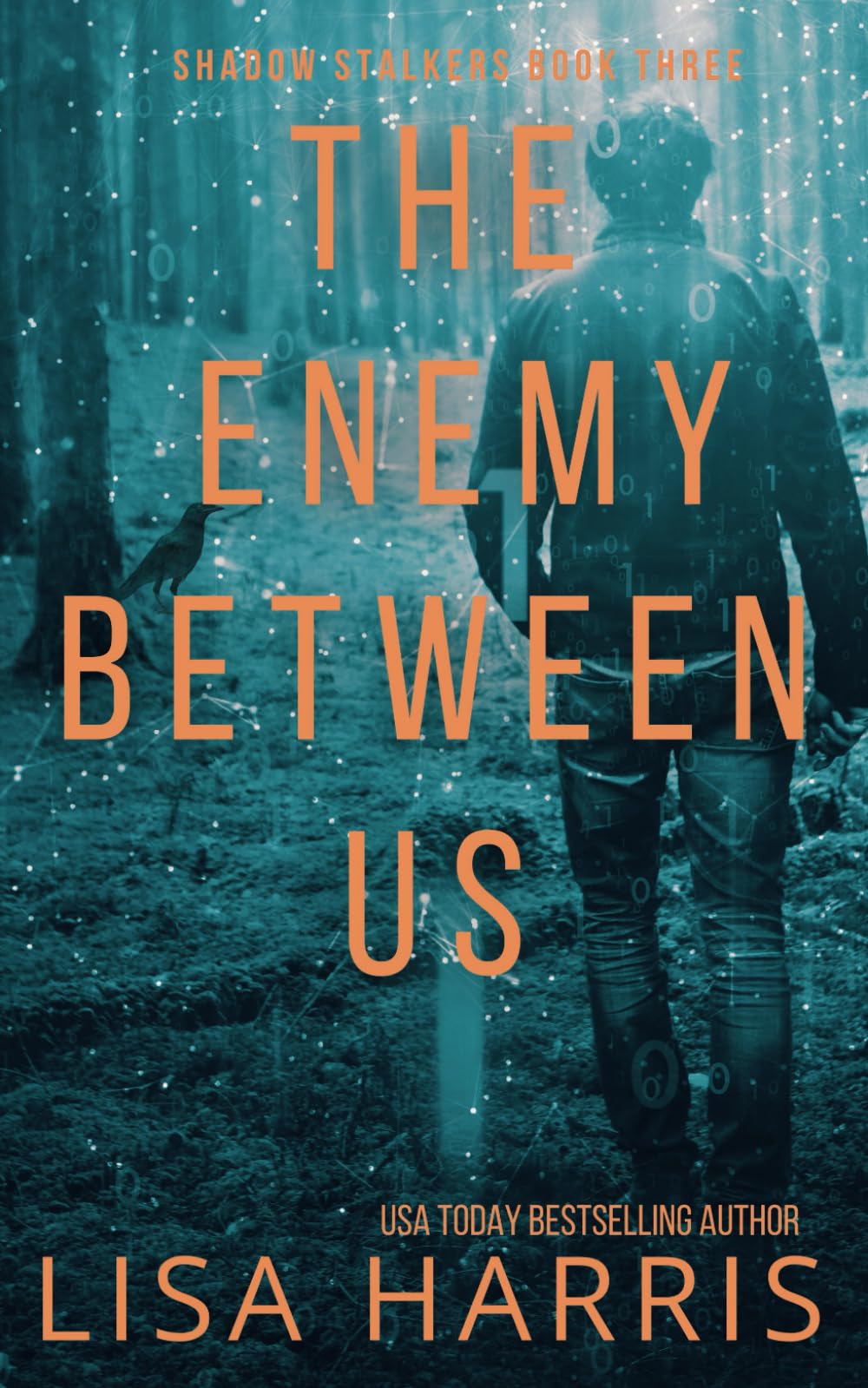 The Enemy Between Us: Shadow Stalkers Book Three: 3