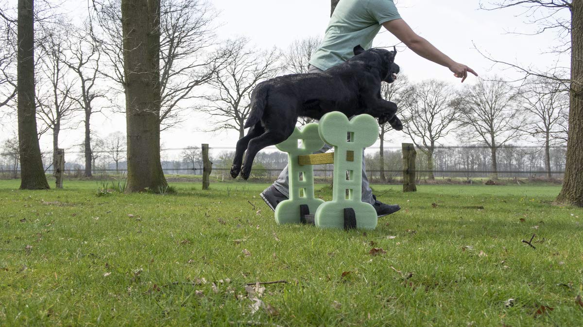 Dog Agility Juguetes Interactivos Para Perros Set De Agilidad Para Perros (Interior Y Exterior)