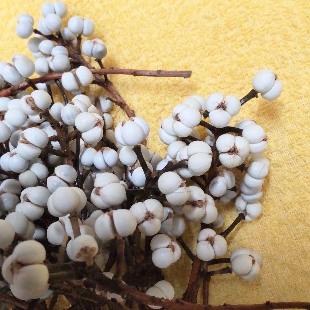 ナンキンハゼ。今年早採り。25本。ナンキンハゼの実。ドライフラワー。スワッグ。 ナンキンハゼ。ナンキンハゼの実。20本。ハンドメイド。ドライフラワー