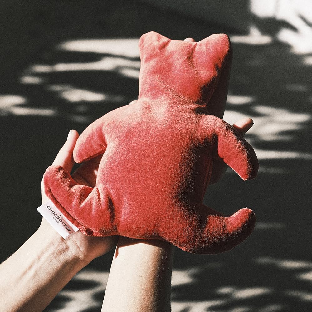 Coussin Emplâtre Chauffant Nounours en graines de lin velours doux - Bouillotte peluche micro-ondes - Dispositif médical, colique bébé, aide pour s'endormir - Chaud/froid - Fabriqué en France 23x25 cm
