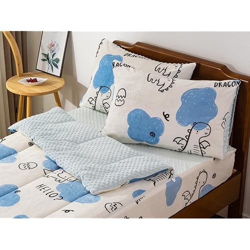 Aimuan Zipper Bedding Set Fleece Comforter Set for Boys, Twin Kids Bedding Set Dinosaur Comforter Set, All in one Zipper Bedding (Light Blue, Twin)