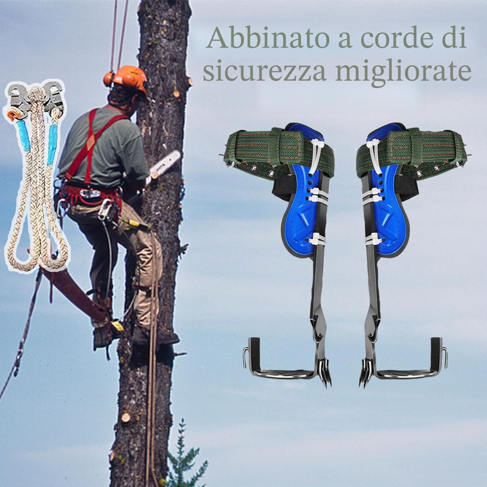 Attrezzatura professionale per l'arrampicata dell'albero, set di chiodi e artigli doppi in acciaio temprato ad induzione, punte a 5 bordi con canali di sangue, regolabile in altezza, con cintura di