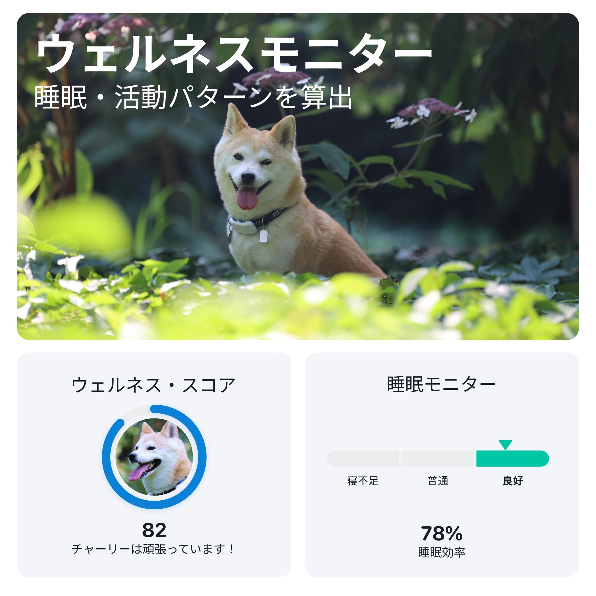 Tractive GPS DOG 4 犬用トラッカー リアルタイム追跡