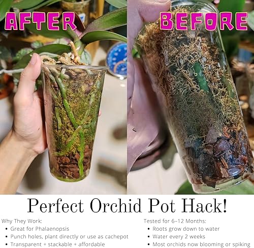 Miniatura 9 de Maceta transparente para orquídeas, macetas de té de 3.5 pulgadas y cubiertas elegantes para falaenopsis, suculentas y plantas de interior, drenaje
