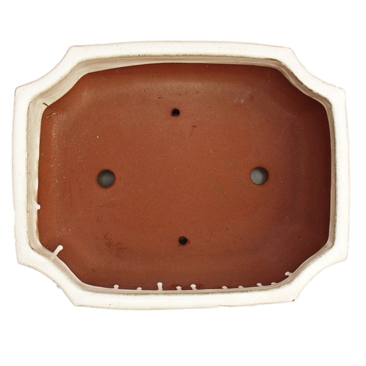 Bonsai Bol avec sous assiette Taille 5 – Beige clair – Carré – Modèle G117 – L 31 cm – B 24 cm – H 9 cm