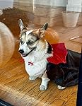 Review Image by Austin Animal Lover