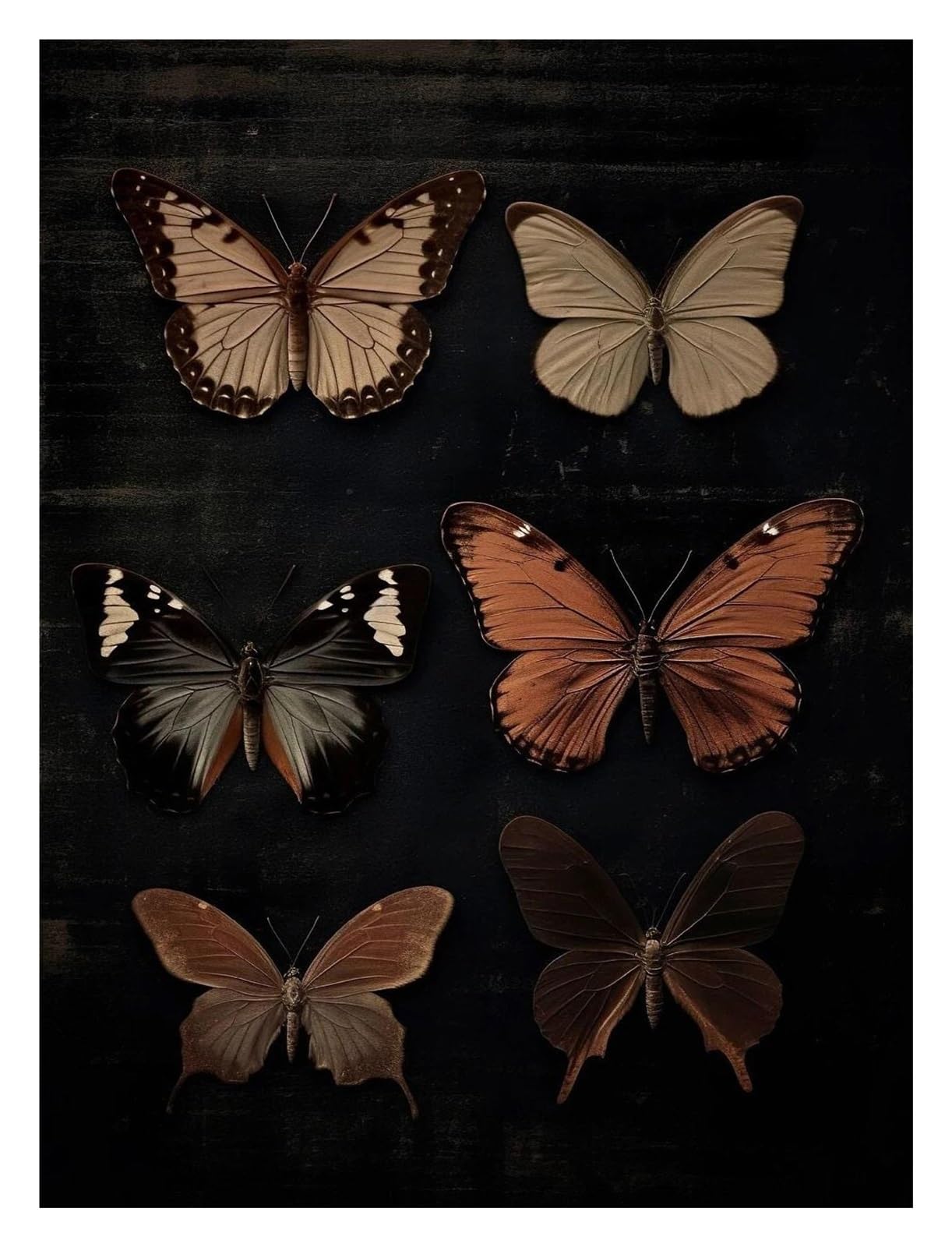 Xenite T Wall Ar Canvas Prints Boho Floral Dark Academia Blue Moth Black Butterfly Poster Prints Canvas Painting Botanical Wall Ar Pictures Home Decoration(,50X70cm)