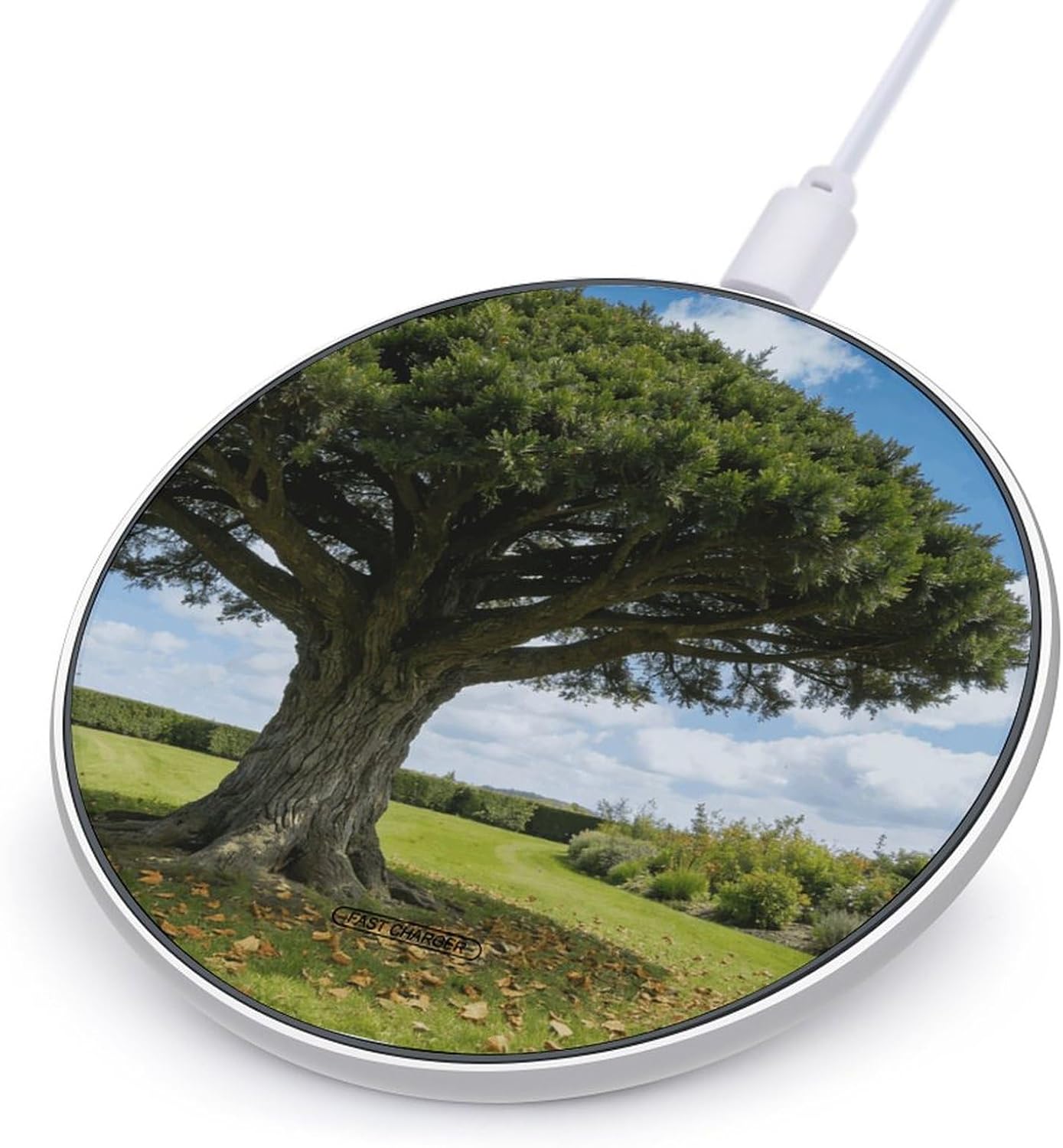 Wireless Charger Qi Certified 10W Super Fast Wireless Charging Pad