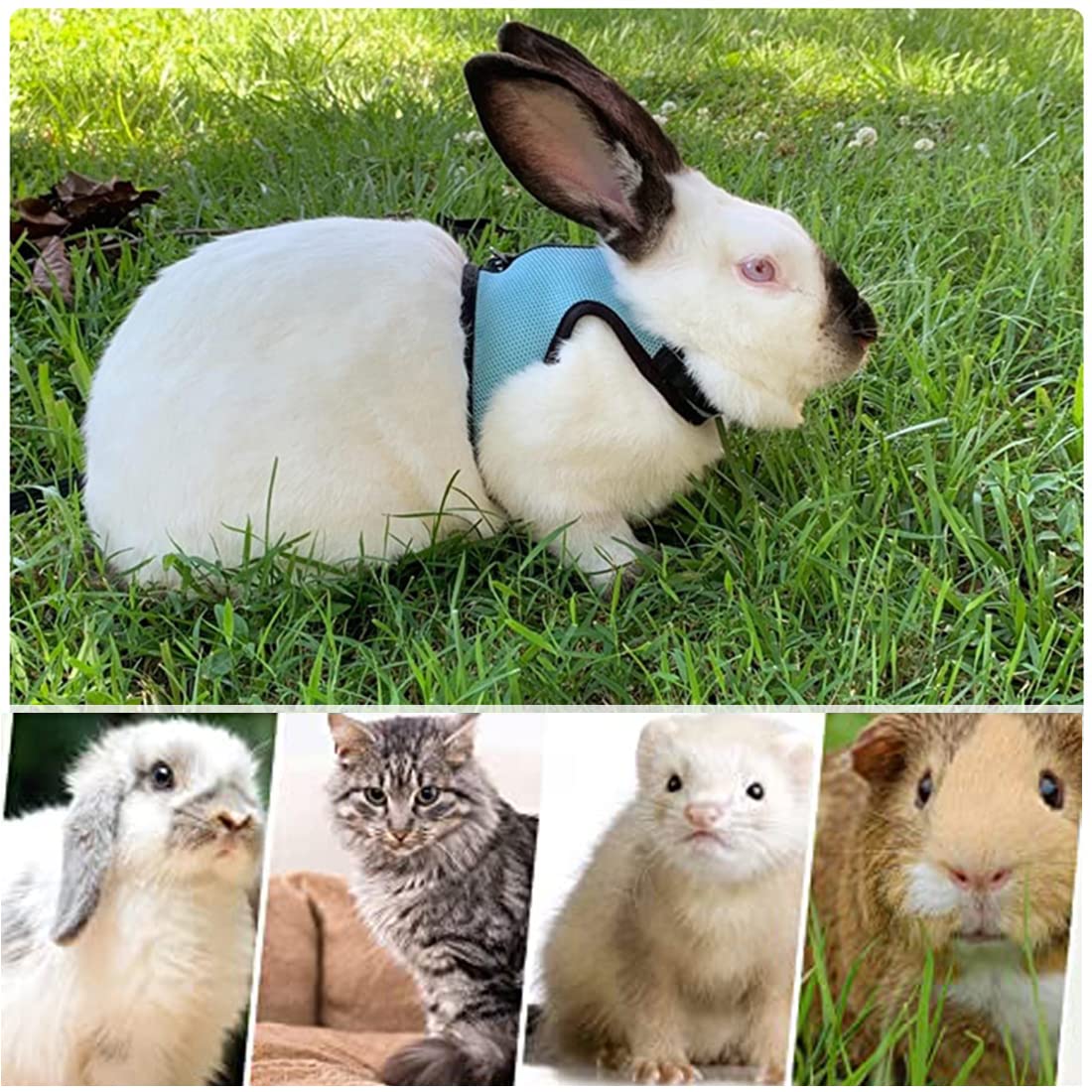 2 Pettorine Regolabili Per Coniglietti E Piccoli Animali - Con Guinzaglio Antifuga, Design A Gilet