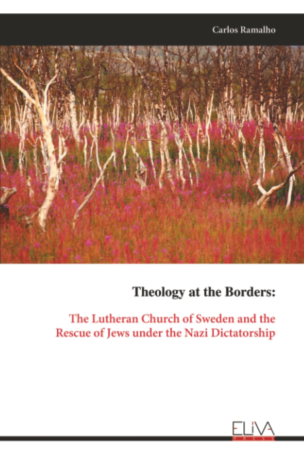 Theology at the Borders: The Lutheran Church of Sweden and the Rescue of Jews under the Nazi Dictatorship