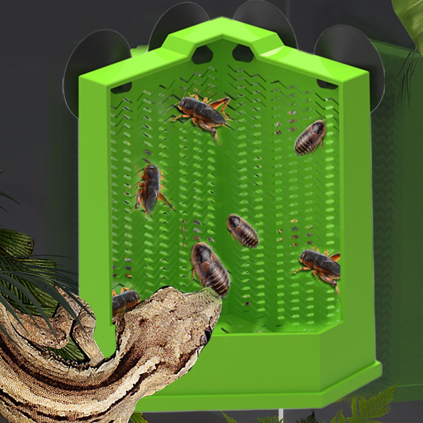 cibo per drago barbuto Mangiatoia angolare arrampicata | Alimentatrice con per Lucertole e Tartarughe Per lucertola arrampicatrice camaleonte tartaruga rana terrario custode