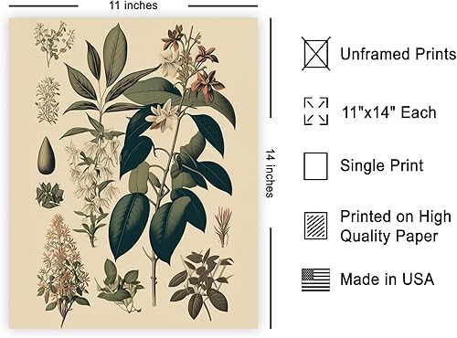 Miniatura 531 de Poster Master Póster vintage de orquídea, estampado de flores retro, arte de pared de plantas exóticas, arte botánico, regalo para hombres y