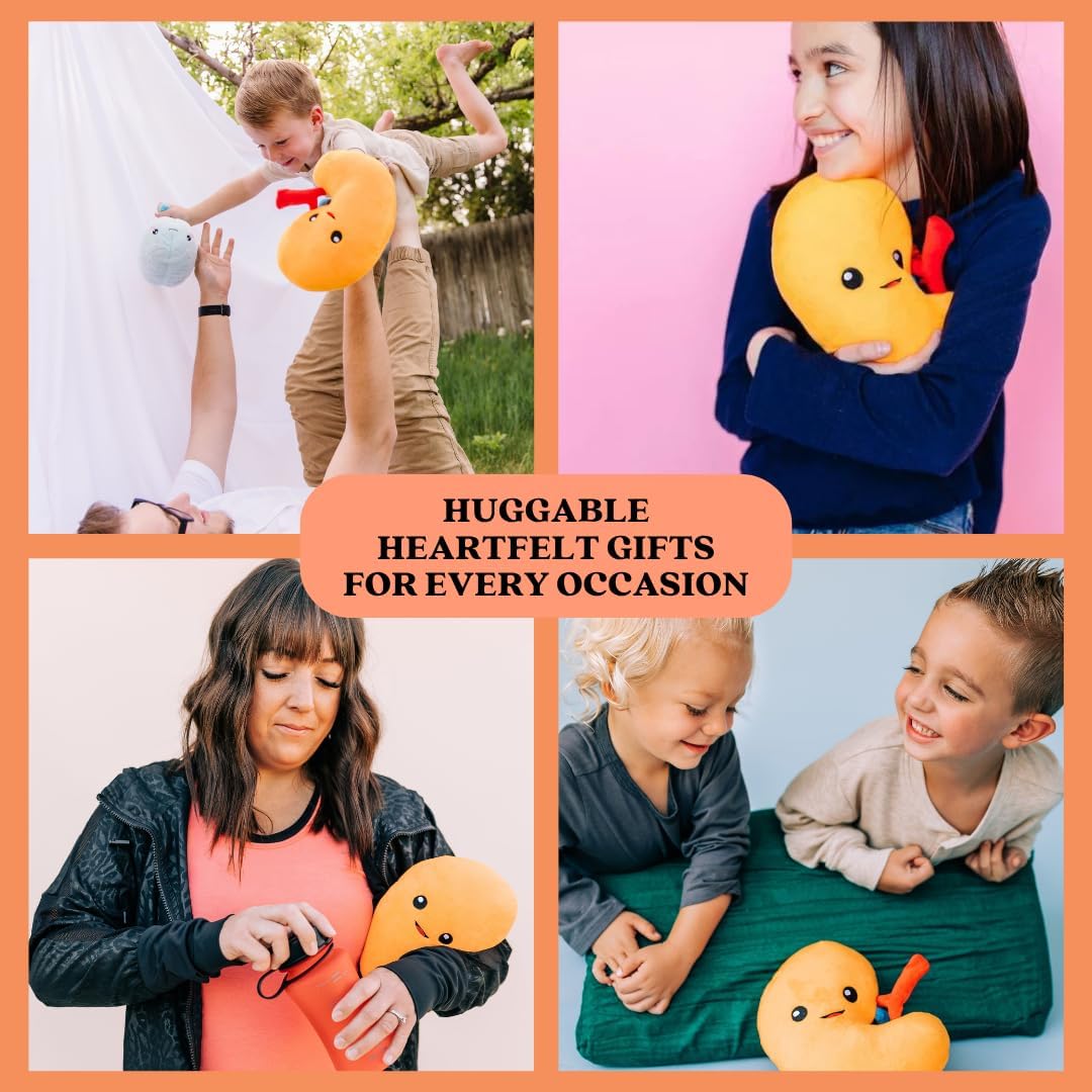 nerdbugs Kidney Plush – Funny Urology Gift, Transplant & Dialysis Recovery Toy, Donor Appreciation, Nephrology Gift for Nurses, Doctors, Med Students, Adults & Kids - Image 3