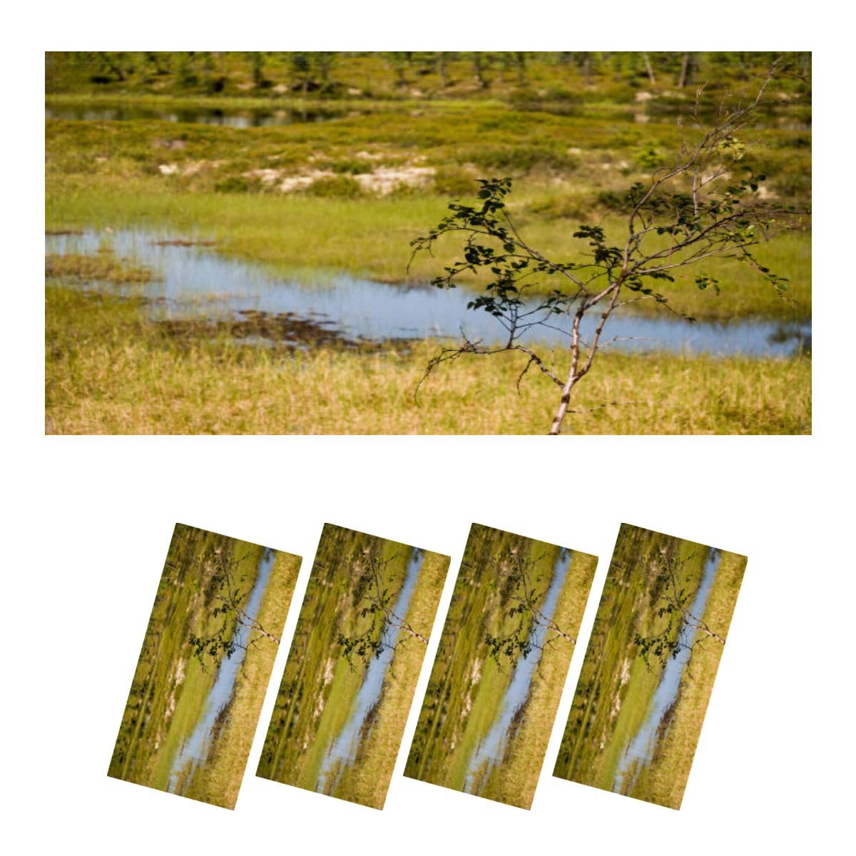 4 Pack Fluorescent Light Covers for Ceiling Lights Swamp green meadow forest far away Marsh bog morass fen backwater mire Magnetic Light Filters Diffuser Shade for Classroom Home Office School