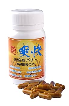 SIMESABA☆様5年発酵❤️100粒 SIMESABA☆様5年発酵❤️100粒 - メルカリ