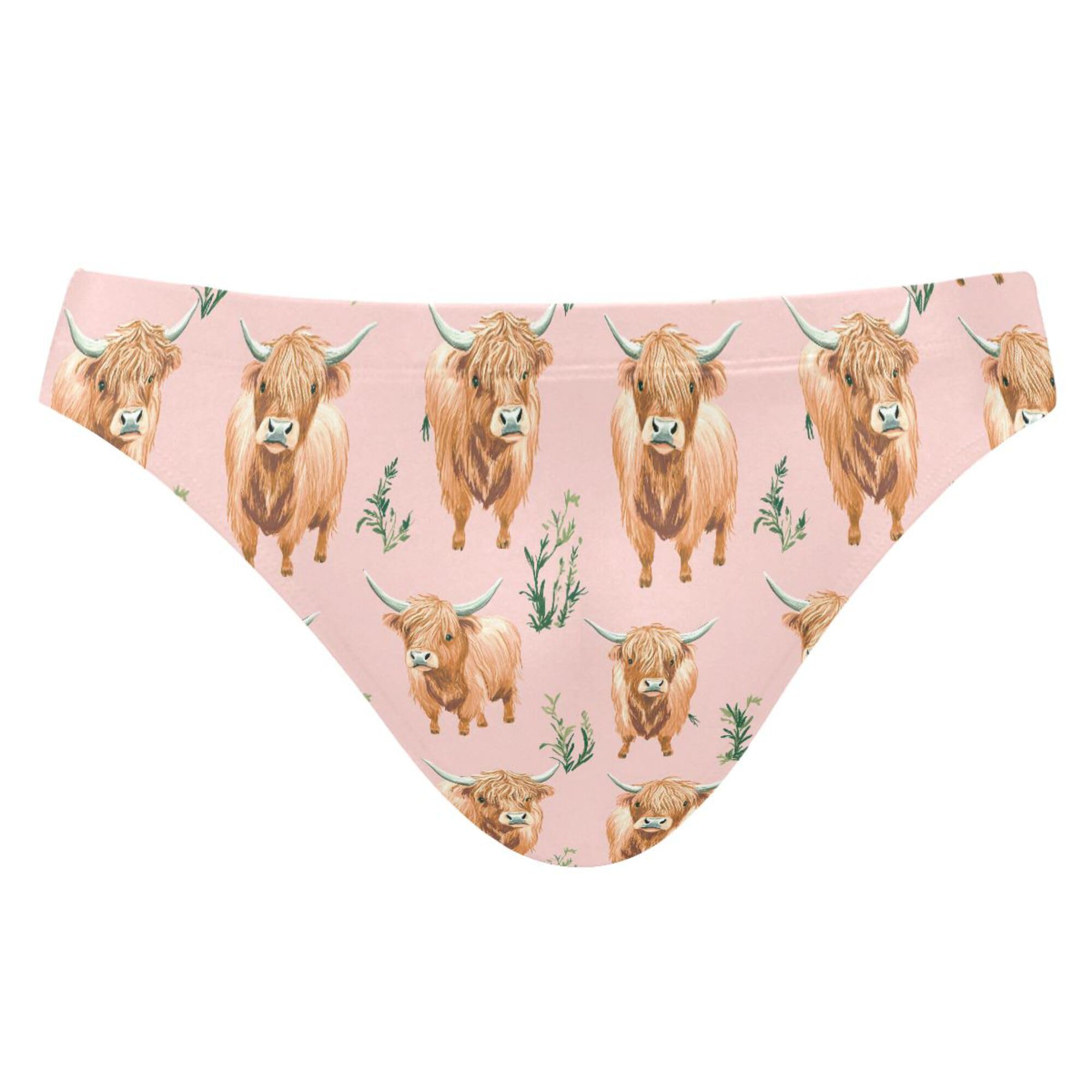 Mens Swim Briefs Highland Cow Animal Swimwear Bikini Swimsuit XL B0403916